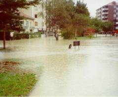 Banchette Nuovo