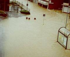 Via Torino