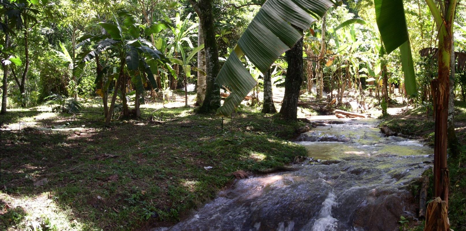 agua_azul-05.jpg