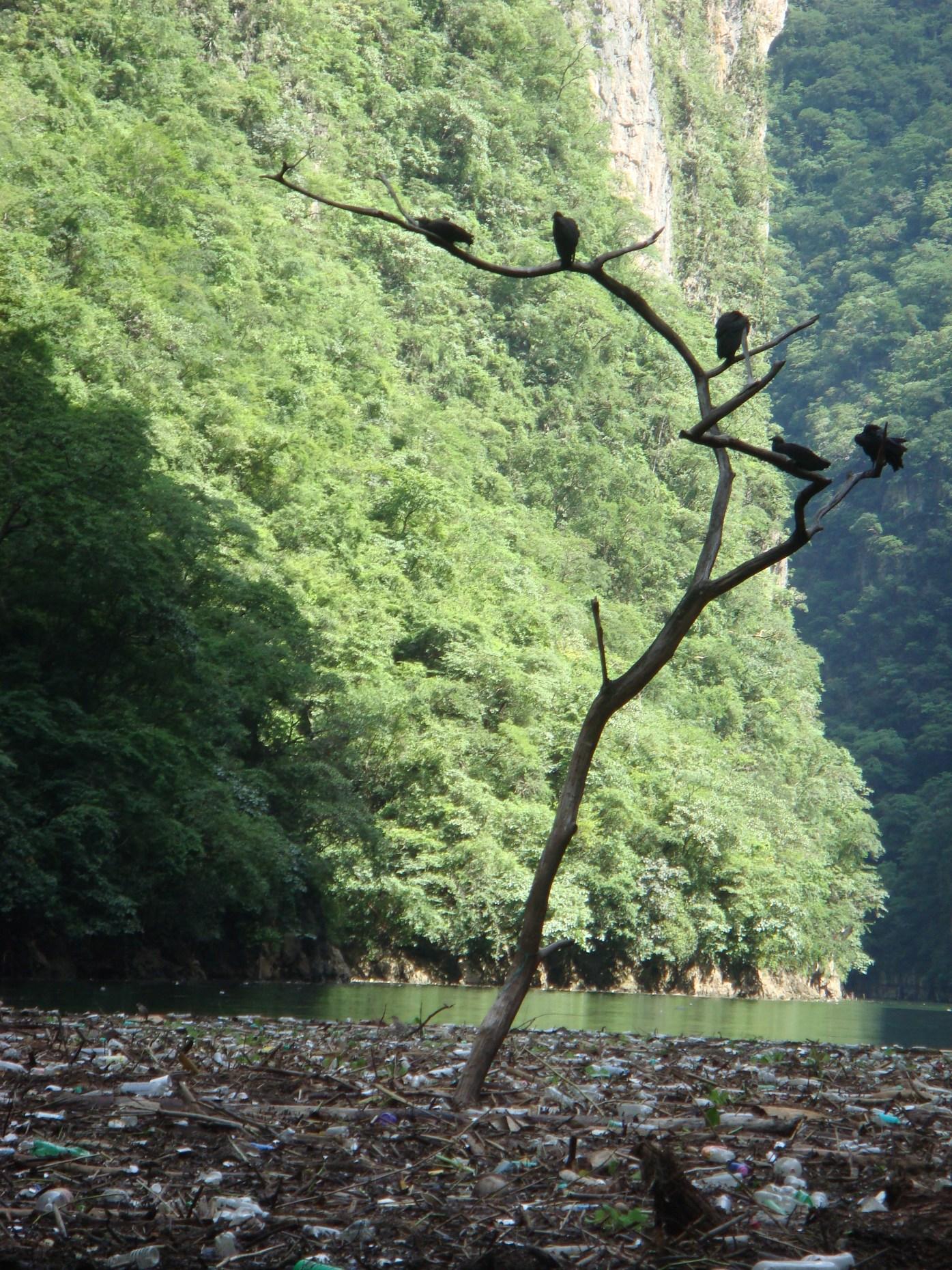canion_sumidero-04.jpg
