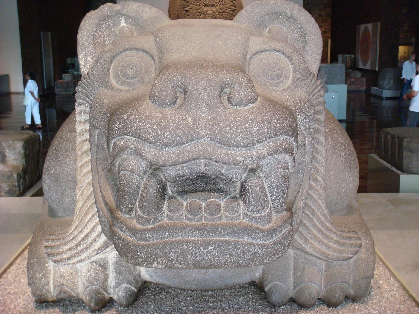 museo_antropologico-05.jpg