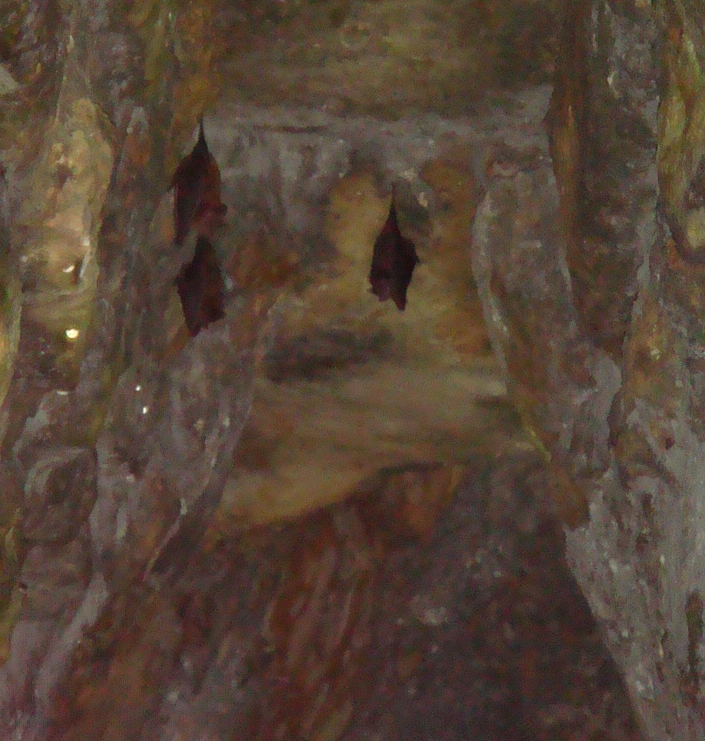 yaxchilan-03.jpg